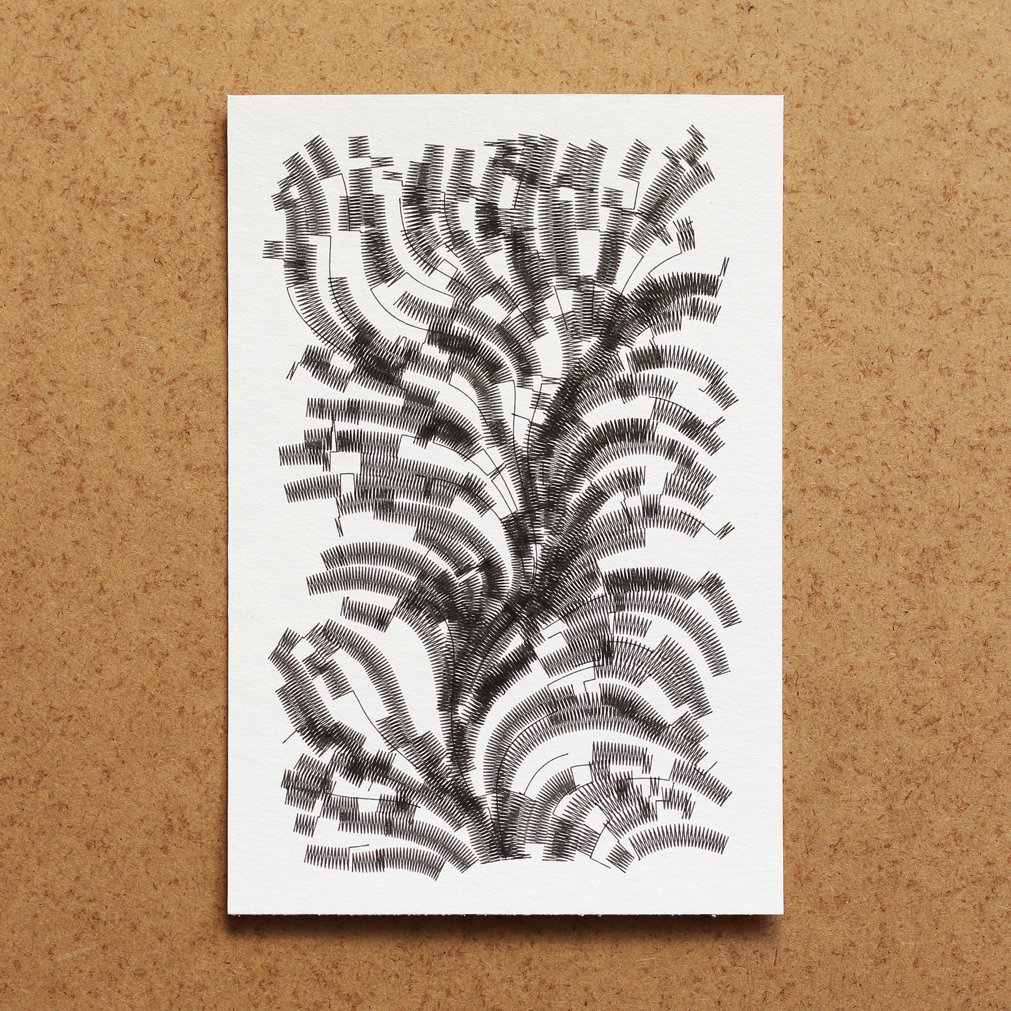 Ferns #03