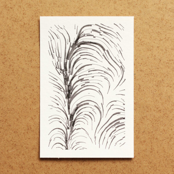 Ferns #06