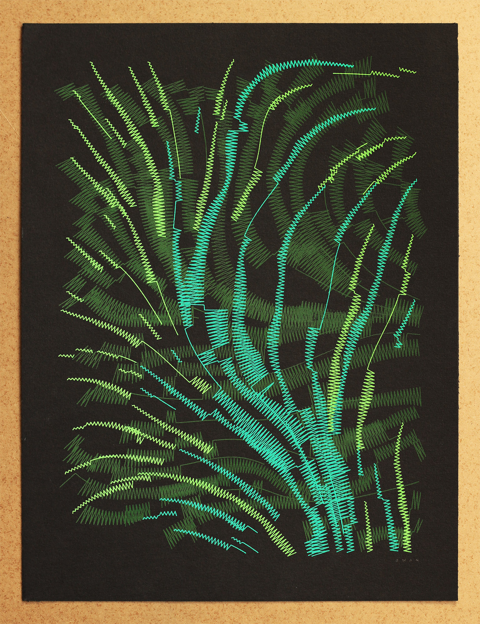 Ferns #09