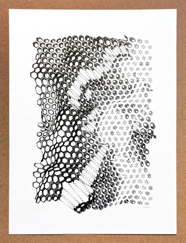 Hexes #22