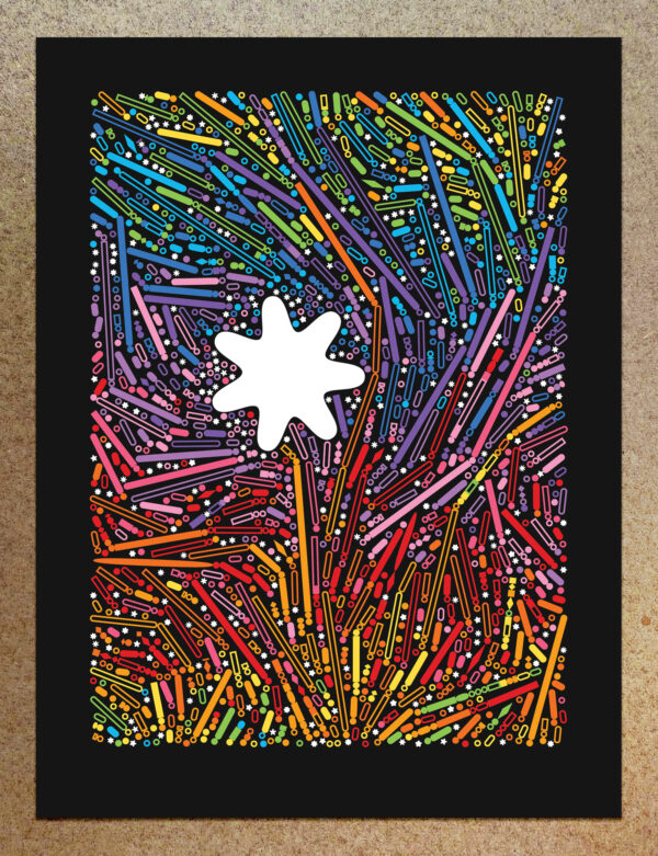 Macroscope #17